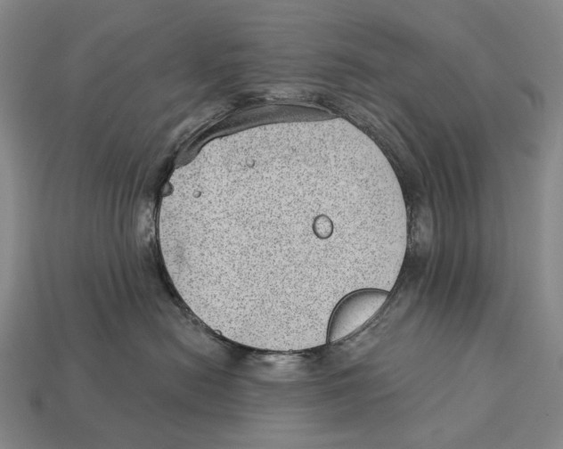 X0000112980478200909241224