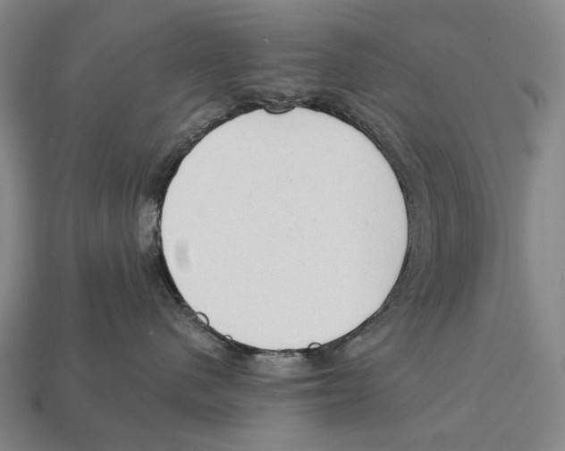 X0000112980480200909241224