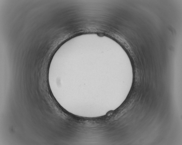 X0000112980481200909241223
