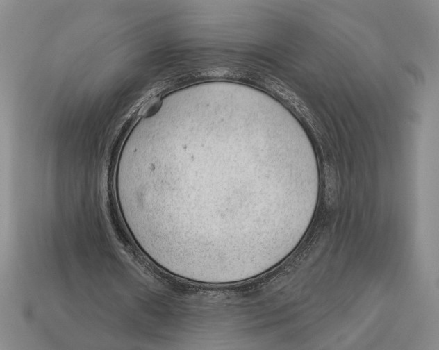 X0000112980482200909241223