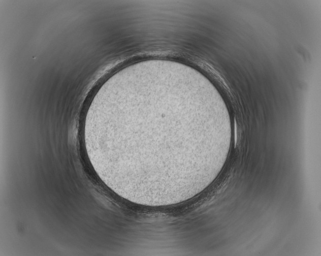 X0000112980483200909241223