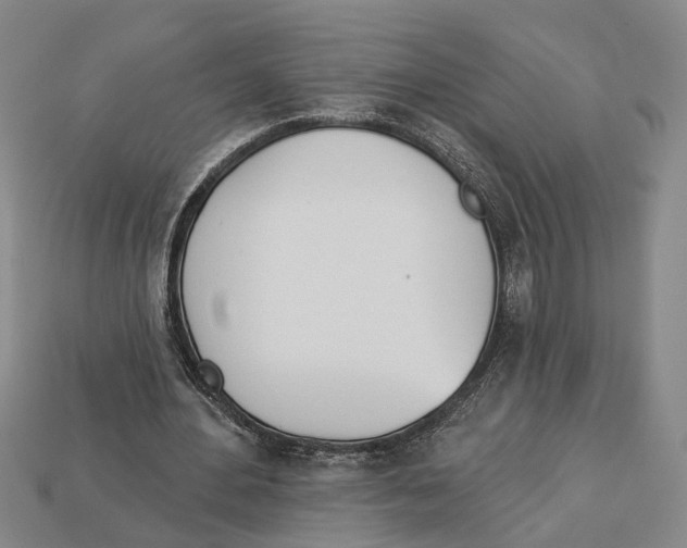 X0000112980484200909241223