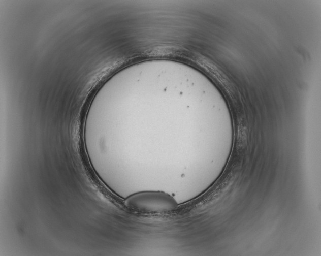 X0000112980485200909241223