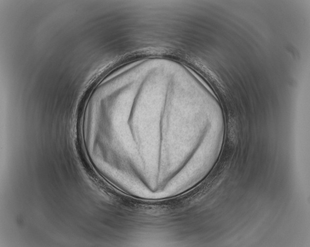 X0000112980486200909241223