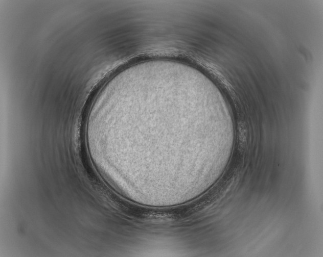 X0000112980487200909241223