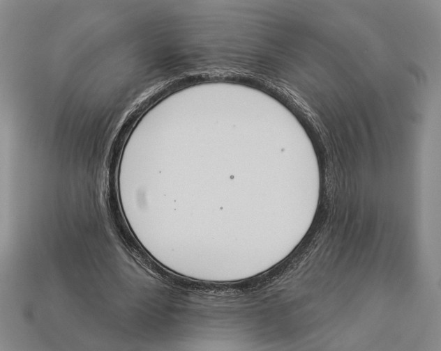 X0000112980488200909241223