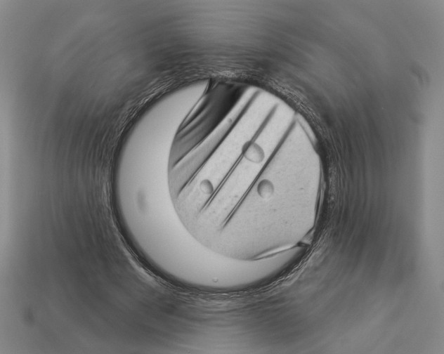 X0000112980489200909241223