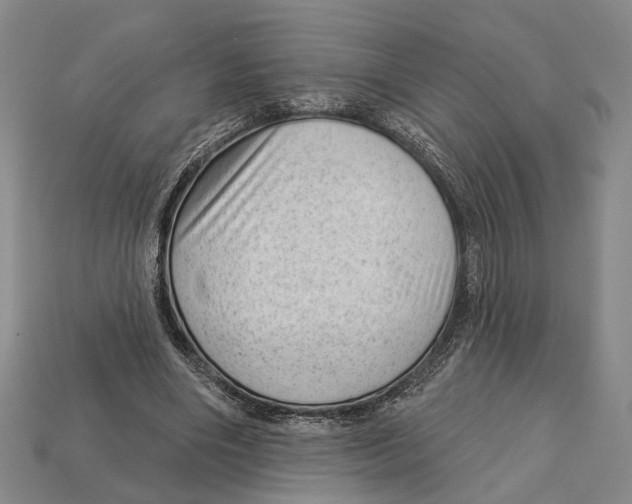 X0000112980490200909241223