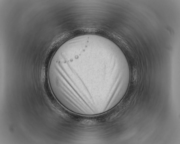X0000112980494200909241223