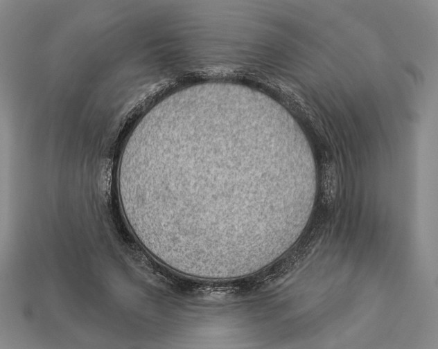 X0000112980495200909241223