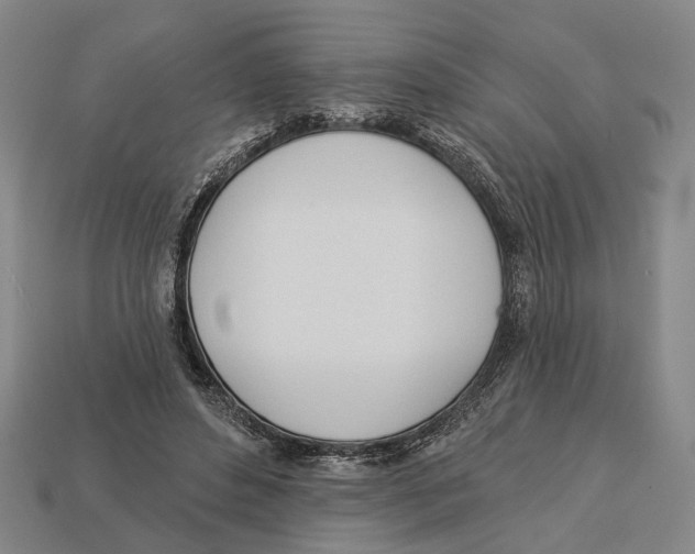 X0000112980496200909241223