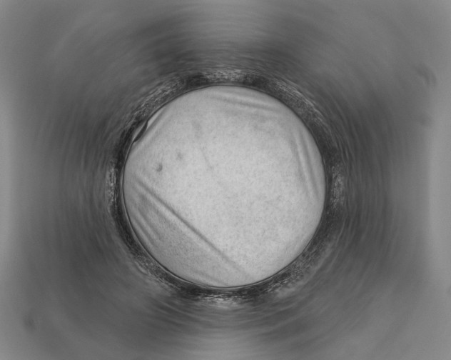 X0000112980498200909241223