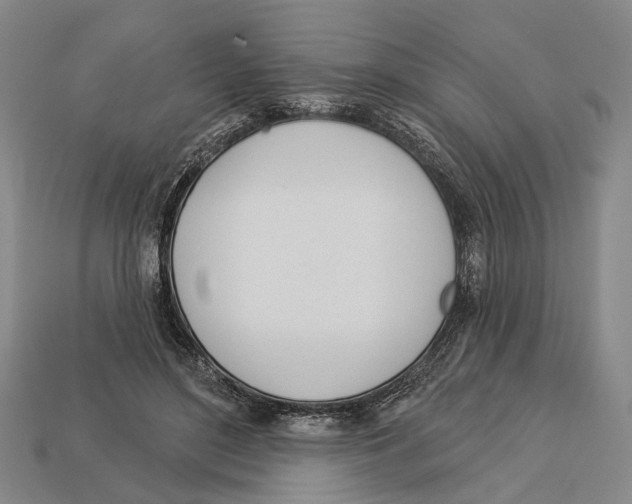 X0000112980500200909241223