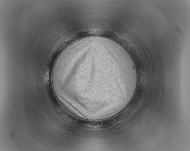 X0000112980502200909241223