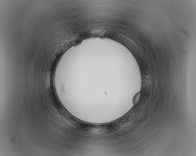 X0000112980504200909241223