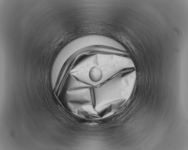 X0000112980509200909241223