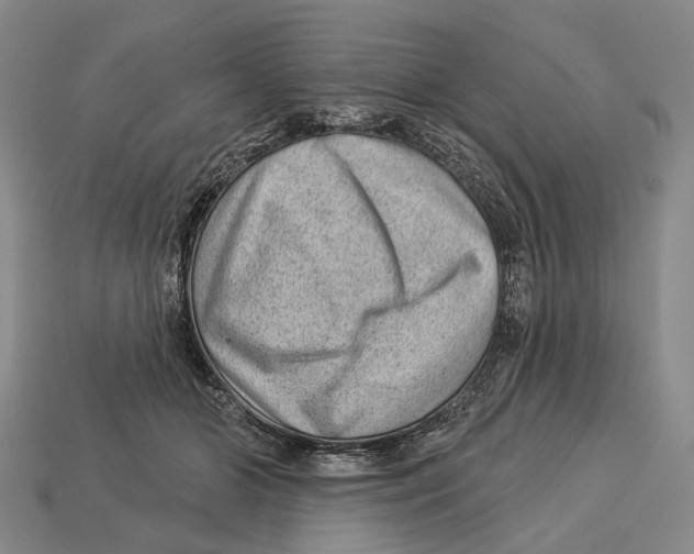 X0000112980510200909241223