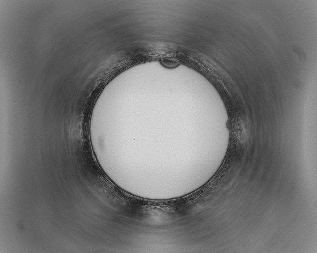 X0000112980512200909241223
