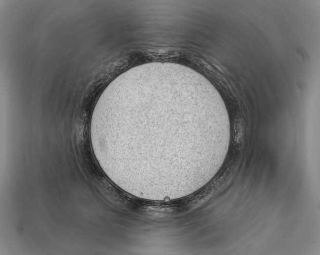 X0000112980515200909241223
