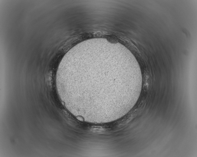 X0000112980519200909241223