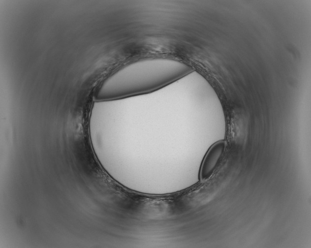 X0000112980520200909241223