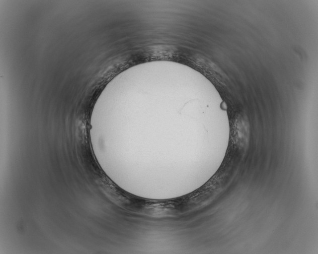 X0000112980522200909241223