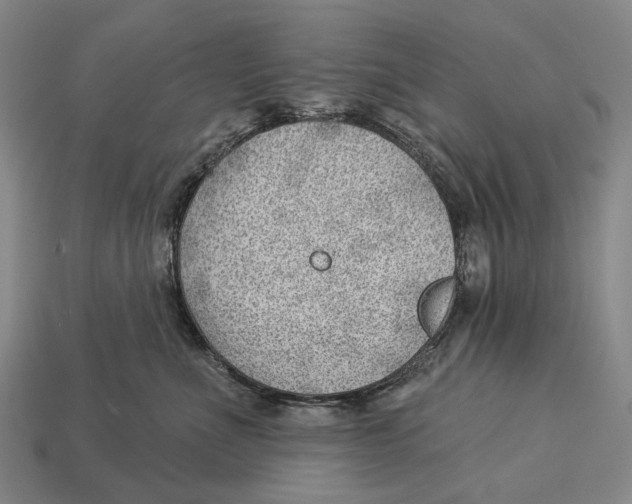 X0000112980523200909241223