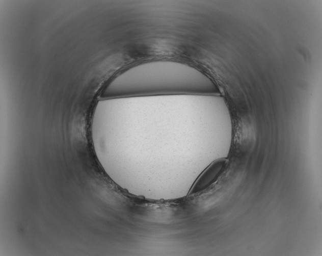 X0000112980524200909241223