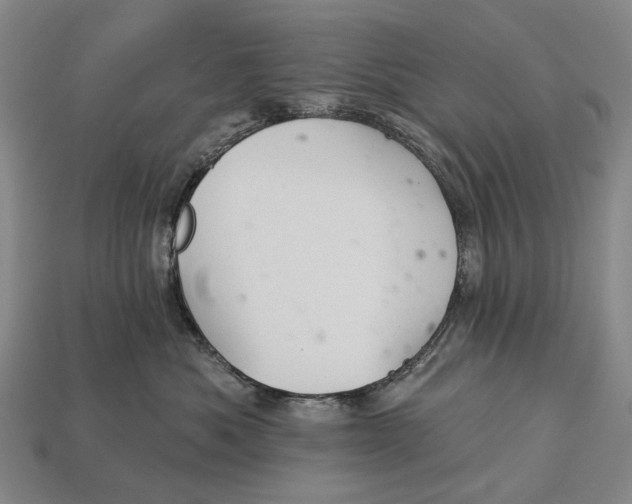 X0000112980525200909241223