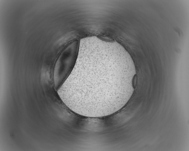 X0000112980528200909241222