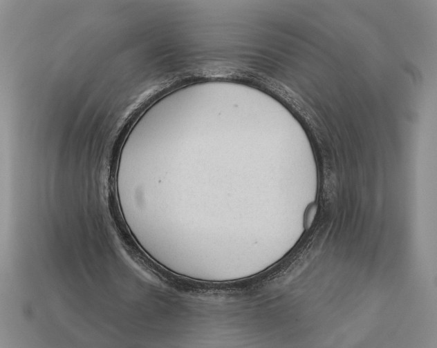 X0000112980530200909241222