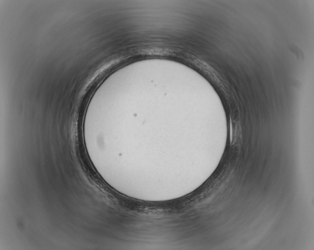 X0000112980531200909241222