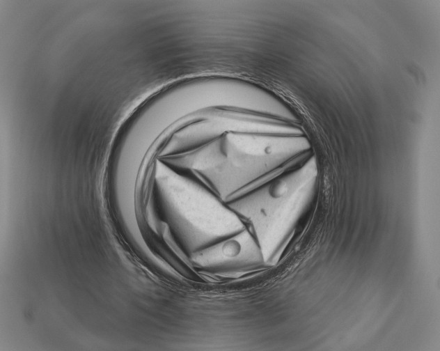 X0000112980532200909241222