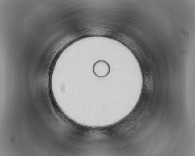 X0000112980534200909241222