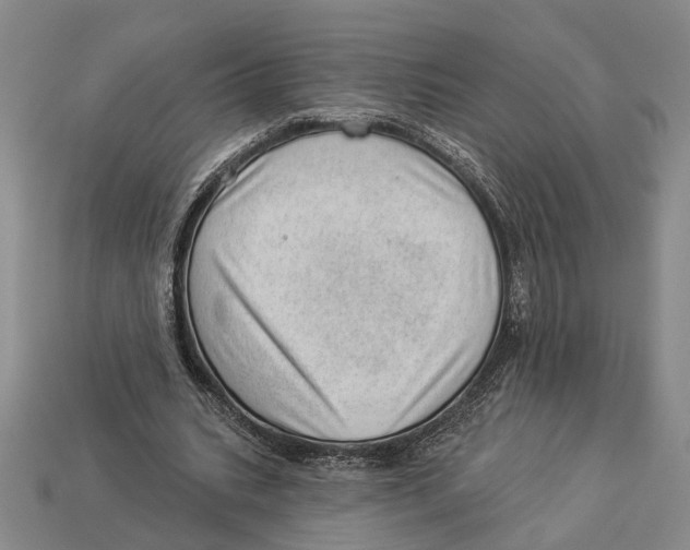 X0000112980535200909241222
