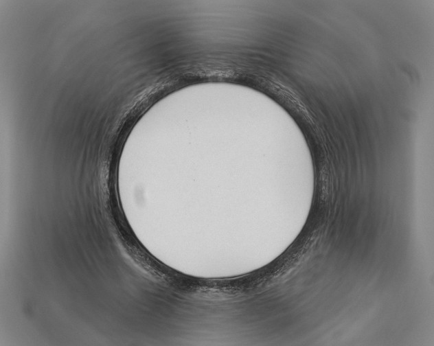 X0000112980538200909241222