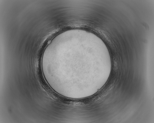 X0000112980539200909241222