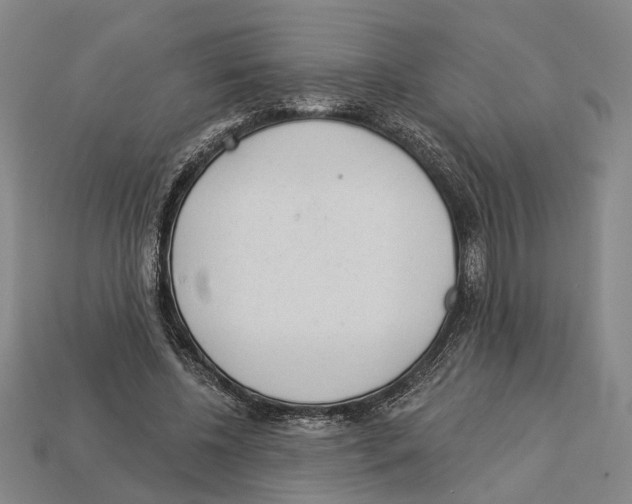 X0000112980540200909241222
