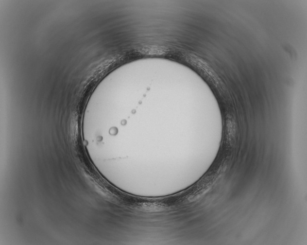 X0000112980541200909241222