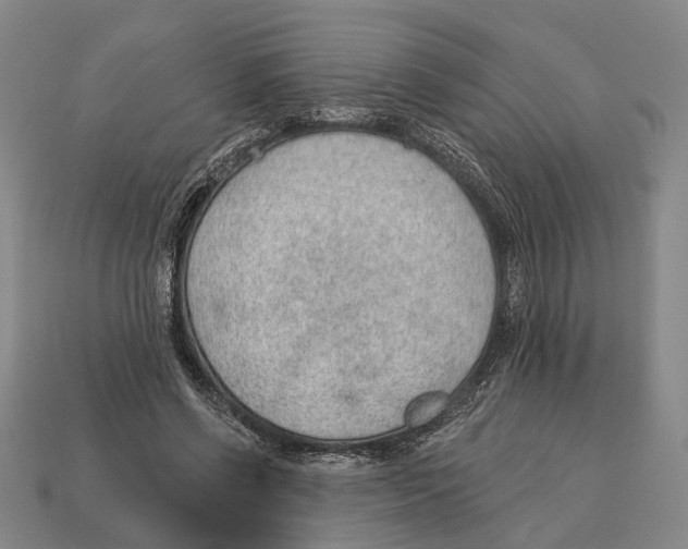 X0000112980542200909241222