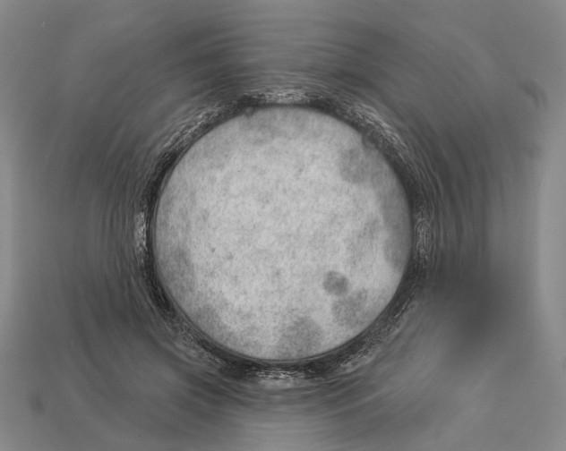 X0000112980549200909241222