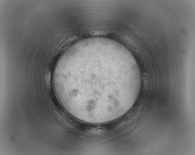 X0000112980550200909241222
