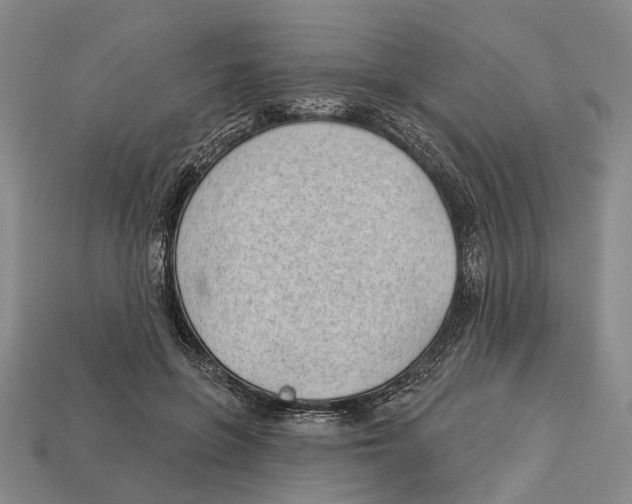 X0000112980551200909241222