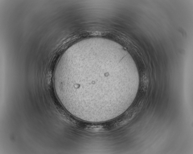 X0000112980554200909241222