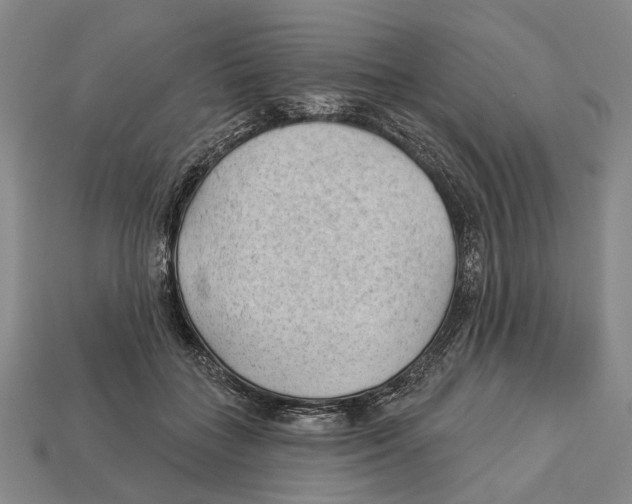 X0000112980555200909241222