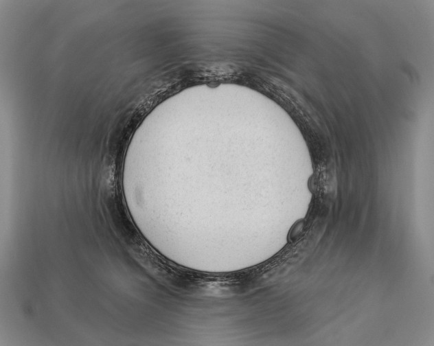 X0000112980564200909241222