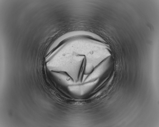 X0000112980566200909241222
