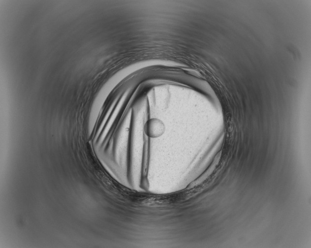 X0000112980568200909241222