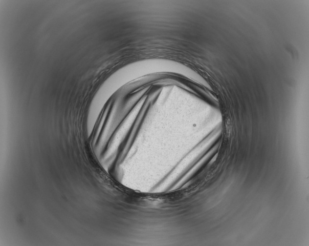 X0000112980570200909241222