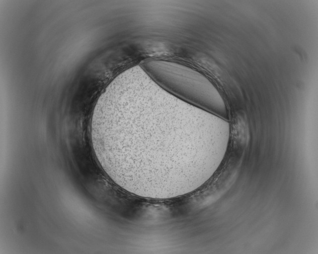X0000112980572200909241222